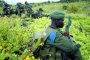 ООН спасява Конго с 3 000 миротворци