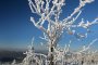 Рекорден студ в Добрич– минус 17 градуса 