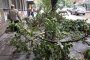 Бурята в Бургас потроши коли и събори дървета 