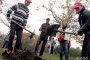 В Македония засаждат 7,5 млн. дървета за един ден 