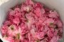 Българската роза, класика в парфюмерията