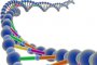 Нов ДНК-четец е хиляда пъти по-мощен от съществуващите досега