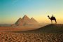 Египет обмисля да дава пирамидите под наем