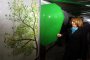 Фандъкова: Няма да бъдат изсечени 500 дървета в Борисовата градина