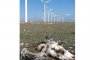 Еврокомисията съди България за вятърните турбини на Калиакра