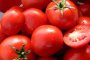 Плантациите от домати в Пловдивско поразени от болести