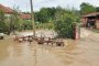 Потопът в Мизия по-тежък от този в Бисер