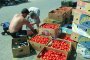 Българският пазар е залят от полски домати