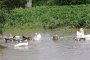 Наводнения грозят пазарджишки села заради непочистено речно корито