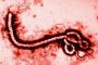 ЕС отделя €1 млрд. за борба с ебола