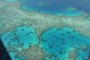 Големият бариерен риф заплашен да стане сметище