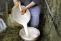 51 млн. евро са загубите на млекопроизводителите