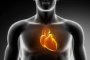 3D технология картографира човешкото сърце