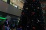 Коледната елха на София Ринг Мол грейна