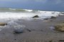 Тяло на мъж изплува на плаж край Варна