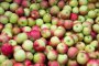 Спряха внос на ябълки от Македония