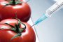 ЕС: България заобикаля правилата и брани ГМО