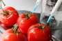 Турски и полски домати сеят зарази у нас