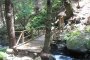   Нова екопътека в природен парк Витоша