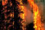    Бедствено положение в хасковското село Черна могила заради пожар