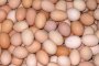  БАБХ върна на Полша около 500 000 яйца