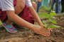  Доброволци ще засадят 3000 дървета в Западния парк 
