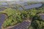 Соларна ферма в Япония компенсира 53 тона емисии на CO2 за година