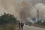 Десетки постройки и част от борова гора изгоряха в Бургаско