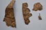    Археолози откриха българската Троя