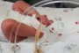    Откриха токсични вещества в бебешки памперси във Франция