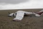 Дунавски комари събориха самолета, който ги пръскаше