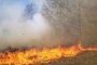 Пожар изпепели над 150 декара край Гоце Делчев