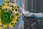 В Германия е потвърден първи случай на заразен с новия коронавирус