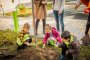 Започва есенната залесителна кампания в дворове на училища и детски градини