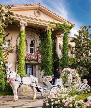 За сватбата пред дома на двойката, който беше отрупан с розови и бели рози, беше разположен бял кон със златни копита