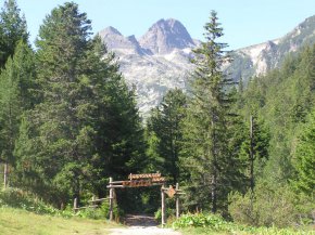 

    Планински лагери ще се провеждат до края на месец август.