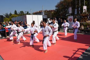 
До края на месеца в три града от страната – София, Пловдив и Варна -  предстоят още събития от програмата на „33-тите Дни на японската култура в България“.
