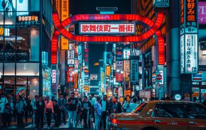 
Населението на Япония непрекъснато намалява след икономическия бум през 80-те години на миналия век и според последните правителствени данни през 2021 г. е било 125,5 милиона души.