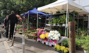 
Ръководството на „Пазари Възраждане“ ЕАД, информира, че от 24.04.2023г./понеделник/,започва функционирането си новият временен специализиран пазар за цветя находящ се на Ботевградско шосе, район „Подуяне“.