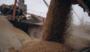 украинския внос на зърно