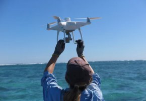 Използване на безпилотни самолети за картографиране на костенурки край Ексмут. (По поръчка на: CSIRO)