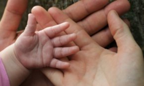 Четирима души, свързани с аферата с незаконни осиновявания, донорство на яйцеклетки, сурогатно майчинство и трафик на бебета на гръцкия остров Крит, остават в ареста, съобщи гръцката агенция АНА-МПА