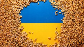 Киев ще съди Полша, Унгария и Словакия заради отказа им да премахнат забраната за украински селскостопански продукти, заяви търговският представител на Украйна Тарас Качка в екслузивно интервю за електронното издание "Политико" (Policitco).
