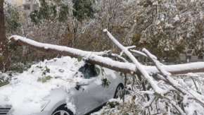 Десетки общини остават в бедствено положение след снеговалежа
