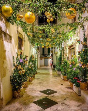 Топки като портокали за Коледа в Локоротондо, Италия: Фото на деня