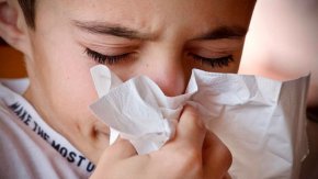 
От Регионалната здравна инспекция в града се очаква да предложат да бъде удължена грипната епидемия в областта с още една седмица, а учениците да излязат в грипна ваканция от понеделник.

