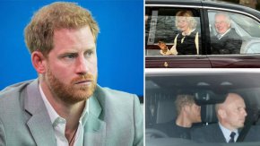 Принц Хари напуска Обединеното кралство след само 30-минутна среща с Чарлз