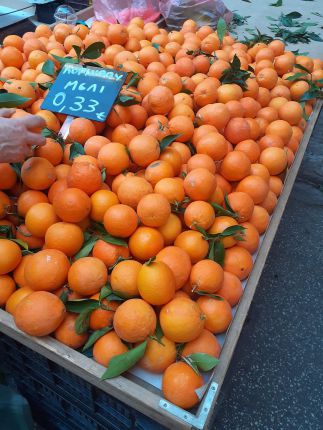  60 ст. портокалите, 1 лв. краставиците в Пирея                     