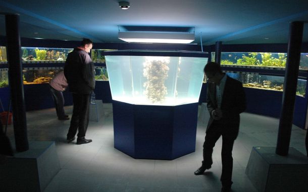 Най-богатият на видове сладководен аквариум в България