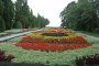 300 хил. лева струва новата оранжерия в Ботаническата градина в Балчик